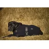 Image de Diego & Louna Teddy Hondenjas Groen 31 cm
