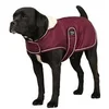 Image de Diego & Louna Teddy Hondenjas Roze 31 cm