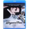 Image de Wayward Pines [2xBlu-Ray]