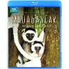 Image de Madagascar [2xBlu-Ray]