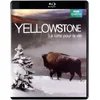 Image de Yellowstone [Blu-Ray]