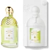 Image de Guerlain - Toiletwater Aqua Allegoria Nerolia Vetiver Harvest 125 ml
