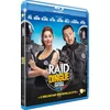 Image de Raid Dingue
