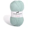 Image de Orient Dun Acrylgaren - 5 bollen van 50 gram - Mint (098) - pendikte 2,5/3 mm.