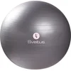 Image de Sveltus Fitnessbal 65 Cm Grijs In Doosje