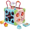 Image de Activiteitencentrum Vtech Baby 80-617105 Bruin Multicolour