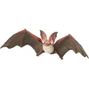 Image de Papo Vleermuis 50239 | Actiefiguur & verzamelitem