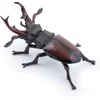 Image de Papo Wild Life Vliegend Hert 50281