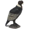 Image de Papo Wilf Life Condor 50293
