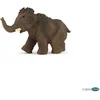 Image de Mammoet Jong - Prehistorie