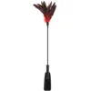 Image de Sweet Caress - Zweepje en streelveer in 1 - rood
