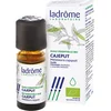 Image de Cajeput etherische olie Ladrome bio