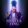 Image de Shatta Ting