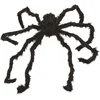 Image de Halloween Harige Spin Mega Groot 128 cm