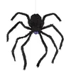 Image de Halloween Bewegende Spin met Licht en Geluid 80 cm