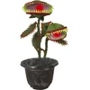 Image de PTIT CLOWN Geanimeerde vleesetende plant - 42 cm decoratie voor Halloween