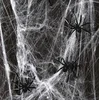 Image de Spinnenweb, met spinnen, Kindercrea 56gram