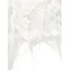 Image de PTIT CLOWN - Fosforescerende spinnenweb decoratie