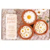 Image de Graine Creative kaarsen maken DIY set margrieten terracotta potjes.