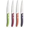 Image de Lou Laguiole Forest 4-delige steakmessenset multi-colour