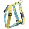 Image de Tuig voor hond lagoon geel / blauw 25 mmx45-65 cm
