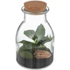 Image de Terrarium BOTA