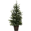Image de Fééric Lights and Christmas Kerstboom - Ø50xH100cm - Kerstdecoratie - Groen