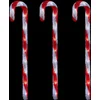 Image de JJA - 3 lichtgevende zuurstok decoraties van 70 cm om te planten