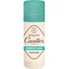 Image de Rogé Cavaillès Dermato 48H Deodorant Stick 40 ml