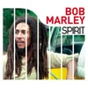 Image de Spirit of Bob Marley (LP)