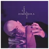 Image de A, Dominique - La Fragilite (LP)