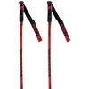 Image de Rossignol Hero Gs-sg Stokken Oranje 125 cm Man,Vrouw