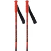 Image de Rossignol Hero Gs Junior Stokken Oranje 100 cm Jongen