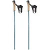 Image de Rossignol Ft-600 Cork Stokken Zilver 150 cm Man