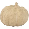 Image de Pompoen Decopatch 8 cm.