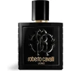 Image de Roberto Cavalli Uomo parfum - Herenparfum met leer en vetiver noten - 100 ml