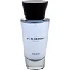Image de Burberry Touch 100 ml Eau de Toilette - Herenparfum