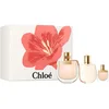 Image de Chloé Nomade Giftset - 75 ml eau de parfum spray + 5 ml eau de parfum tasspray + 100 ml bodylotion - cadeauset voor dames