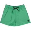 Image de Quiksilver Everyday Deluxe Volley 15´´ Zwembroek Groen L Man