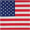 Image de SANTEX - 20 papieren servetten Amerika 33 x 33 cm USA vlag
