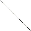Image de Daiwa Triforce Bombette Bolognese Hengel Zilver 4.18 m / 40-90 g