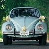 Image de Chaks Trouwauto decoratie lint - ivoor wit - just married - bruiloft benodigdheden
