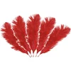 Image de Chaks Struisvogelveren/sierveren - 5x - rood - 20-25 cm - decoratie/hobbymateriaal