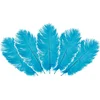 Image de Chaks Struisvogelveren/sierveren - 5x - turquoise - 20-25 cm - decoratie/hobbymateriaal