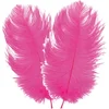 Image de Chaks Struisvogelveren/sierveren - 2x - fuchsia - 30-35 cm - decoratie/hobbymateriaal