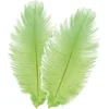Image de Chaks Struisvogelveren/sierveren - 2x - lime groen - 30-35 cm - decoratie/hobbymateriaal