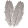 Image de Chaks Struisvogelveren/sierveren - 2x - licht grijs - 30-35 cm - decoratie/hobbymateriaal