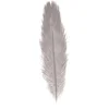 Image de Chaks Struisvogelveer/sierveer - licht grijs - 55-60 cm - decoratie/hobbymateriaal