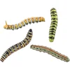 Image de Chaks nep rupsen/insecten 8 cm - groen/bruin - 4x stuks - Horror/griezel thema decoratie beestjes