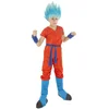 Image de Goku  Super Saiyan God Dragon Bal Z  - Man